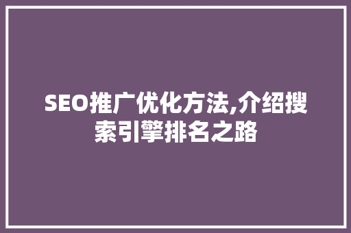 SEO推广优化方法,介绍搜索引擎排名之路