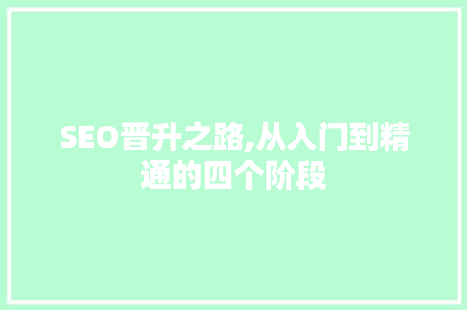SEO晋升之路,从入门到精通的四个阶段