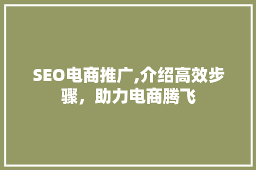 SEO电商推广,介绍高效步骤，助力电商腾飞