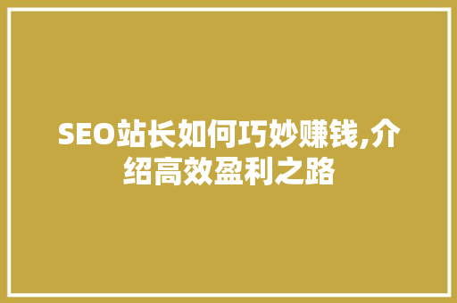 SEO站长如何巧妙赚钱,介绍高效盈利之路
