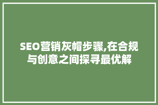 SEO营销灰帽步骤,在合规与创意之间探寻最优解