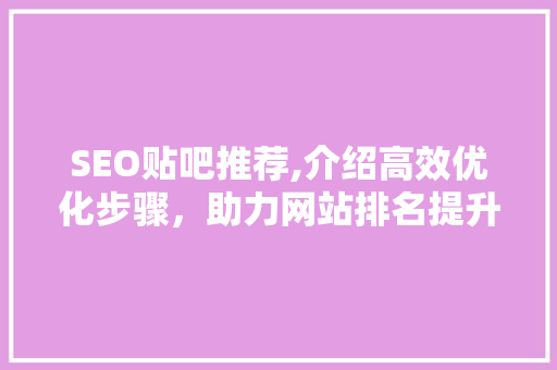 SEO贴吧推荐,介绍高效优化步骤，助力网站排名提升