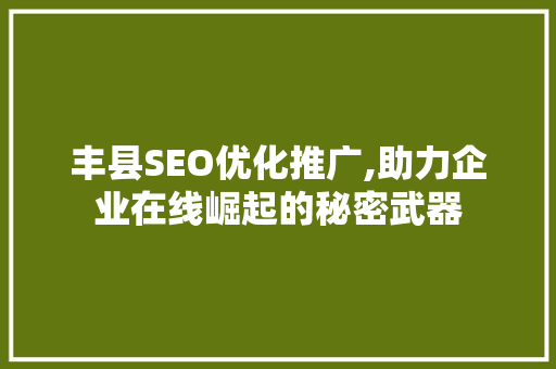 丰县SEO优化推广,助力企业在线崛起的秘密武器
