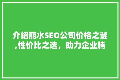 介绍丽水SEO公司价格之谜,性价比之选，助力企业腾飞