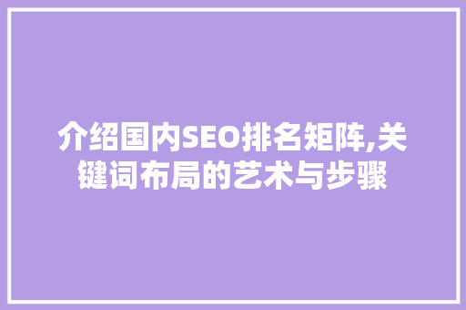 介绍国内SEO排名矩阵,关键词布局的艺术与步骤