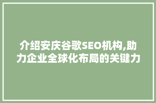 介绍安庆谷歌SEO机构,助力企业全球化布局的关键力量