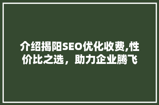 介绍揭阳SEO优化收费,性价比之选，助力企业腾飞