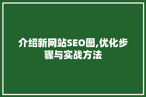 介绍新网站SEO图,优化步骤与实战方法