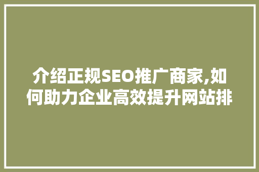 介绍正规SEO推广商家,如何助力企业高效提升网站排名