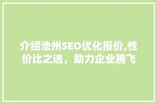 介绍池州SEO优化报价,性价比之选，助力企业腾飞
