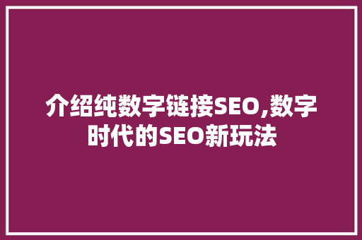 介绍纯数字链接SEO,数字时代的SEO新玩法