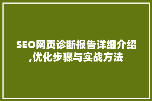SEO网页诊断报告详细介绍,优化步骤与实战方法