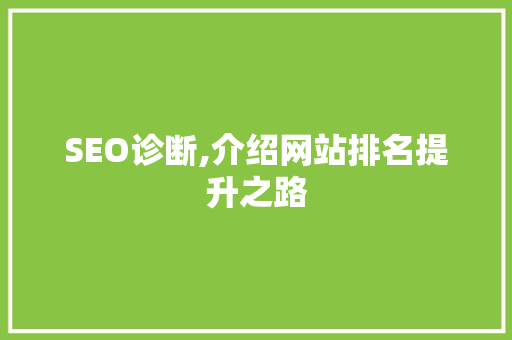 SEO诊断,介绍网站排名提升之路
