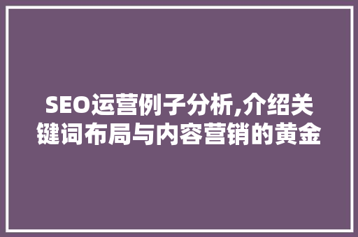SEO运营例子分析,介绍关键词布局与内容营销的黄金法则