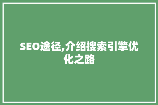 SEO途径,介绍搜索引擎优化之路