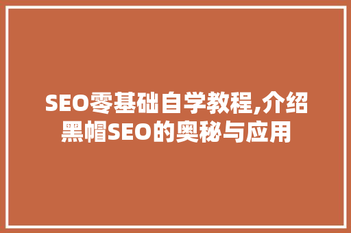 SEO零基础自学教程,介绍黑帽SEO的奥秘与应用