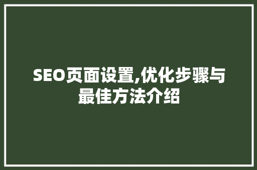 SEO页面设置,优化步骤与最佳方法介绍