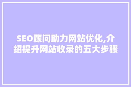 SEO顾问助力网站优化,介绍提升网站收录的五大步骤