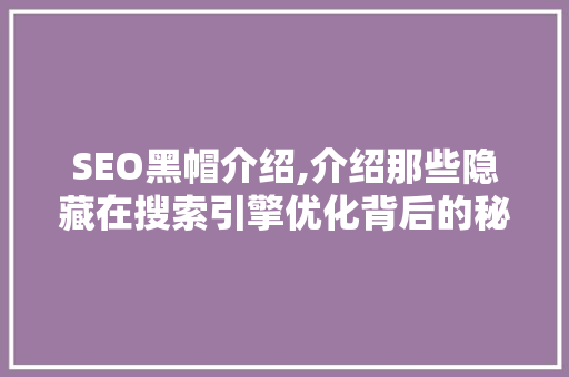 SEO黑帽介绍,介绍那些隐藏在搜索引擎优化背后的秘密