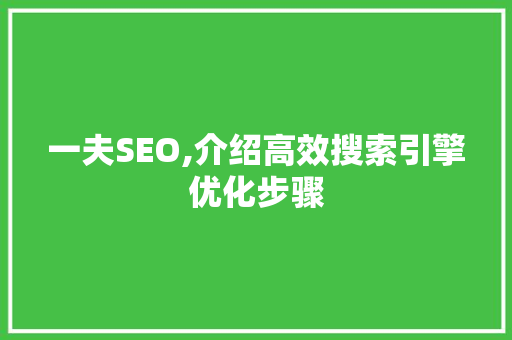一夫SEO,介绍高效搜索引擎优化步骤