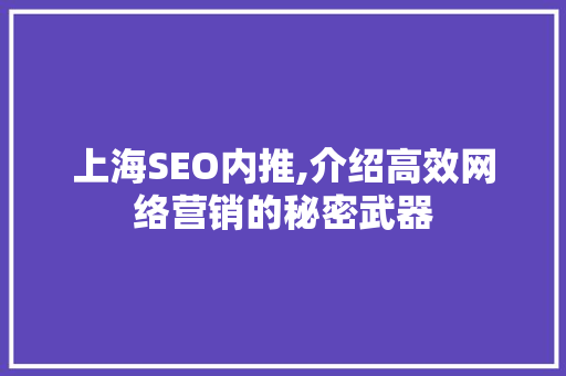 上海SEO内推,介绍高效网络营销的秘密武器