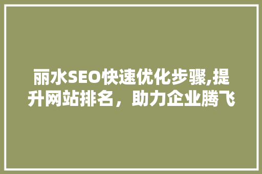 丽水SEO快速优化步骤,提升网站排名，助力企业腾飞