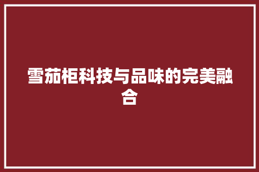 雪茄柜科技与品味的完美融合