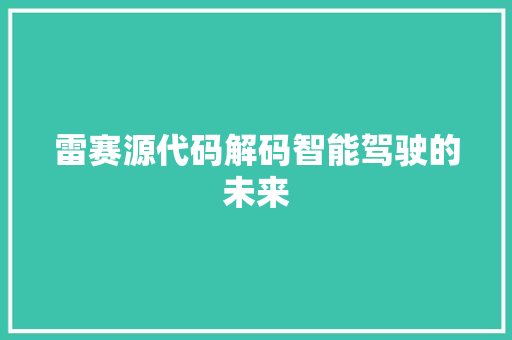 雷赛源代码解码智能驾驶的未来