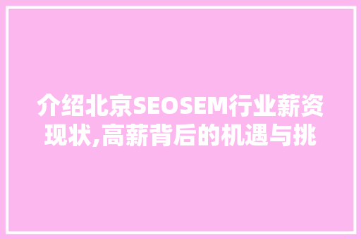 介绍北京SEOSEM行业薪资现状,高薪背后的机遇与挑战