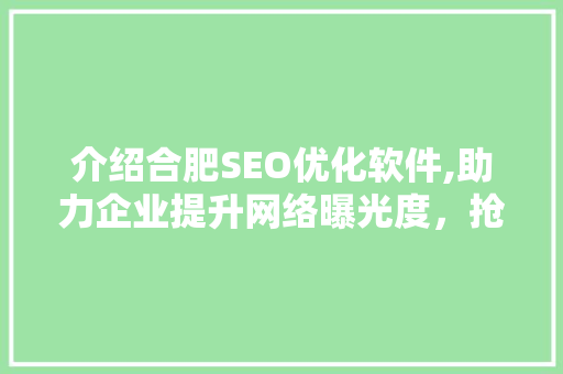 介绍合肥SEO优化软件,助力企业提升网络曝光度，抢占市场先机