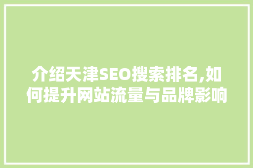 介绍天津SEO搜索排名,如何提升网站流量与品牌影响力