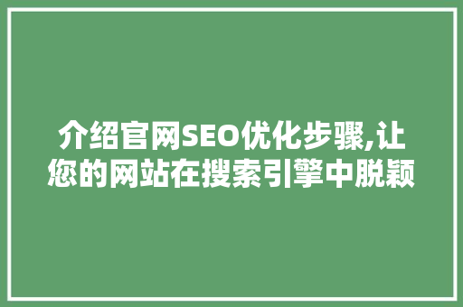 介绍官网SEO优化步骤,让您的网站在搜索引擎中脱颖而出