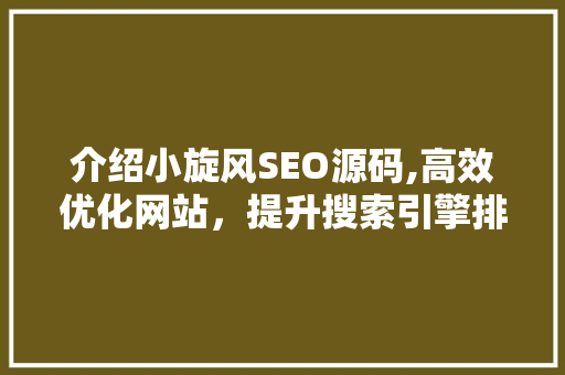 介绍小旋风SEO源码,高效优化网站，提升搜索引擎排名的方法  第1张