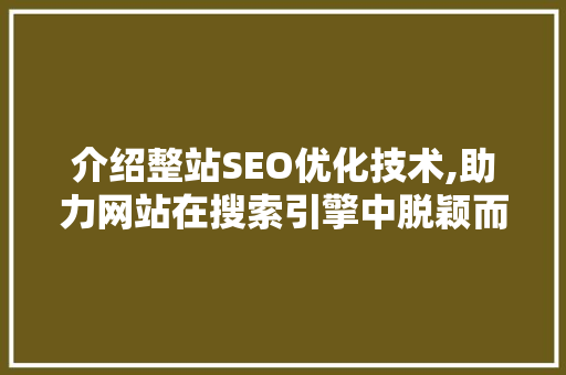 介绍整站SEO优化技术,助力网站在搜索引擎中脱颖而出
