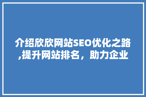 介绍欣欣网站SEO优化之路,提升网站排名，助力企业腾飞  第1张