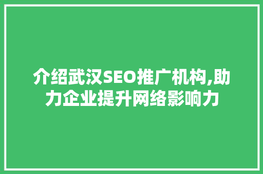 介绍武汉SEO推广机构,助力企业提升网络影响力