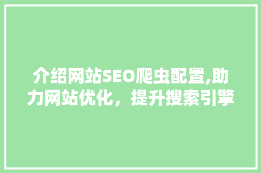 介绍网站SEO爬虫配置,助力网站优化，提升搜索引擎排名