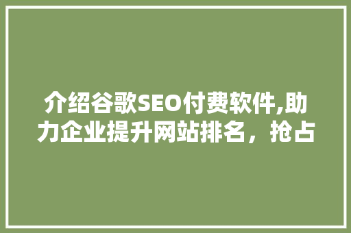 介绍谷歌SEO付费软件,助力企业提升网站排名，抢占市场先机