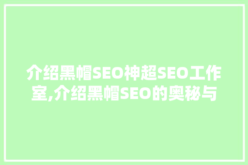 介绍黑帽SEO神超SEO工作室,介绍黑帽SEO的奥秘与风险