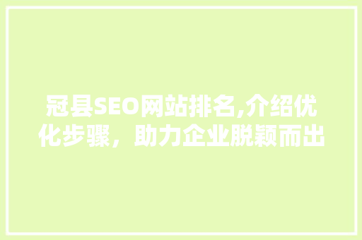 冠县SEO网站排名,介绍优化步骤，助力企业脱颖而出