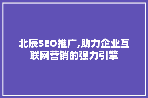 北辰SEO推广,助力企业互联网营销的强力引擎