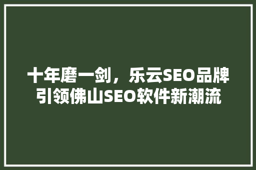 十年磨一剑，乐云SEO品牌引领佛山SEO软件新潮流