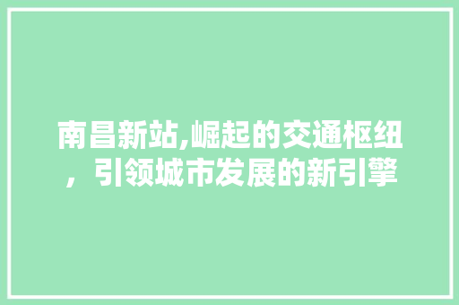 南昌新站,崛起的交通枢纽，引领城市发展的新引擎