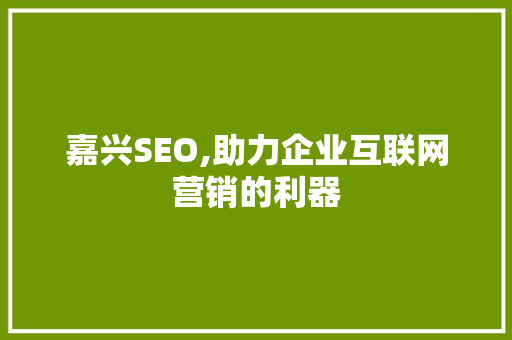 嘉兴SEO,助力企业互联网营销的利器