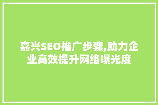 嘉兴SEO推广步骤,助力企业高效提升网络曝光度