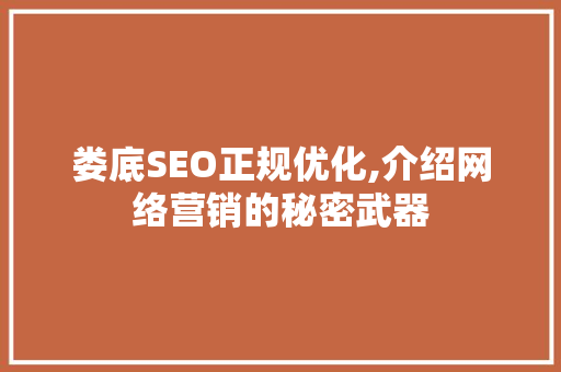 娄底SEO正规优化,介绍网络营销的秘密武器