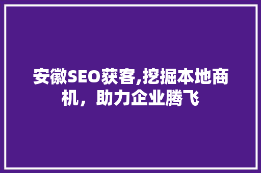 安徽SEO获客,挖掘本地商机，助力企业腾飞