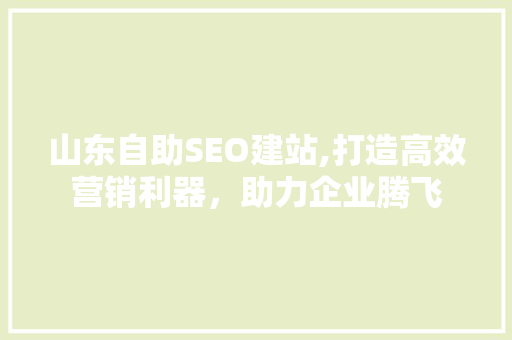 山东自助SEO建站,打造高效营销利器，助力企业腾飞
