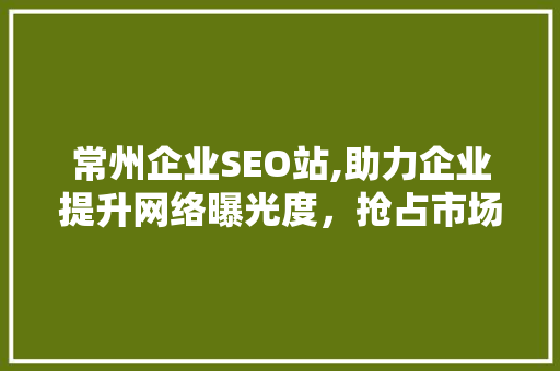 常州企业SEO站,助力企业提升网络曝光度，抢占市场先机