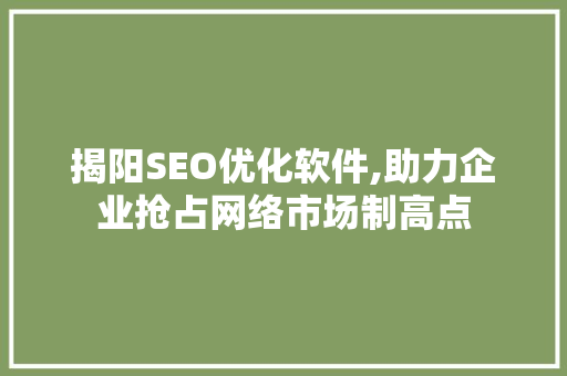 揭阳SEO优化软件,助力企业抢占网络市场制高点